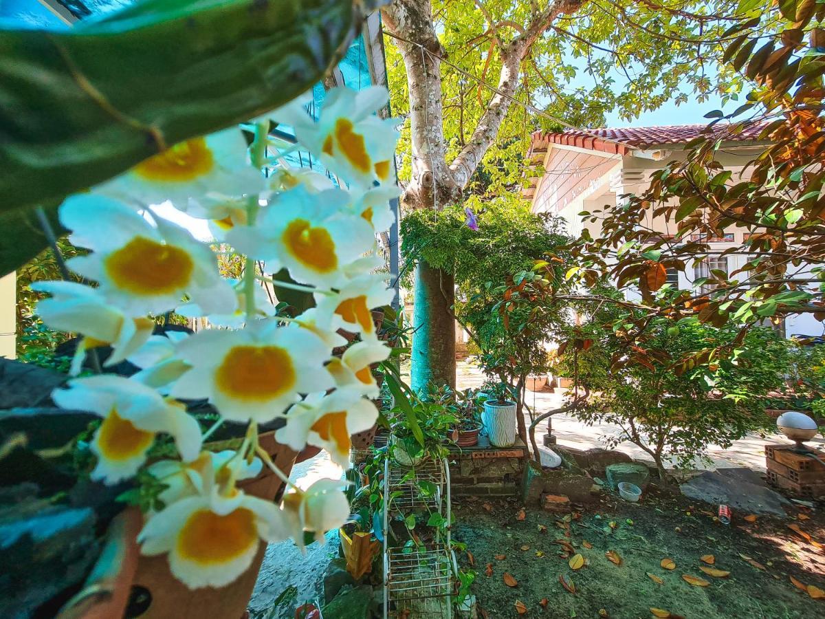 Sapphire Beach House دونغ دونغ المظهر الخارجي الصورة